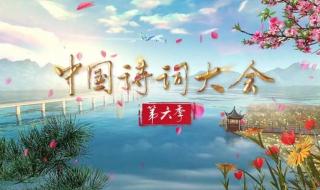 中国诗词大会第六季 中国诗词大会第六季电视节目